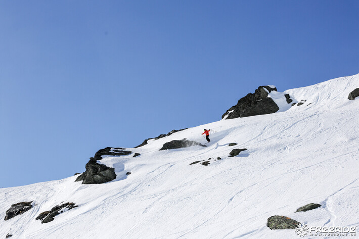 Bild från Ride the Cow 2026