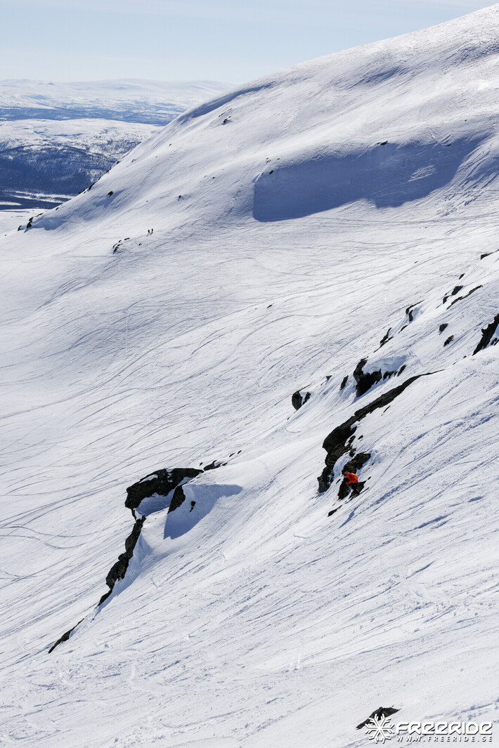 Bild från Ride the Cow 2026