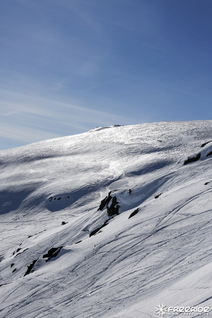 Bild från Ride the Cow 2026