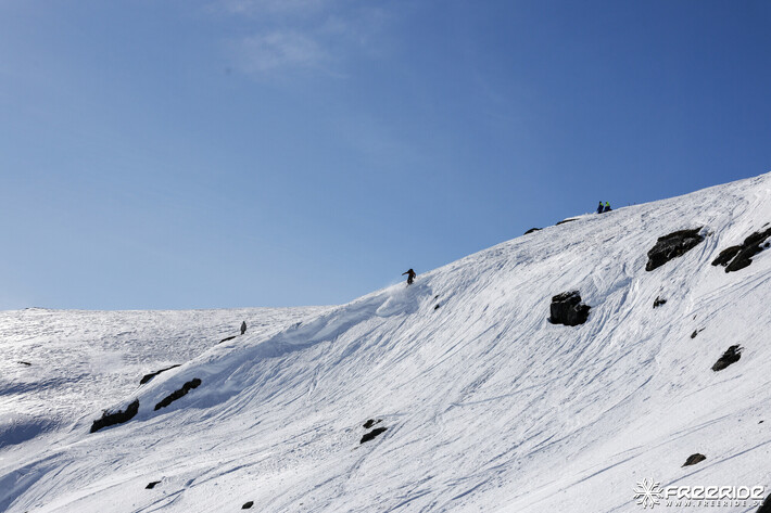 Bild från Ride the Cow 2026