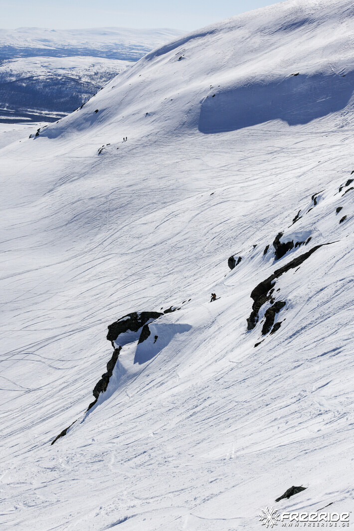 Bild från Ride the Cow 2026