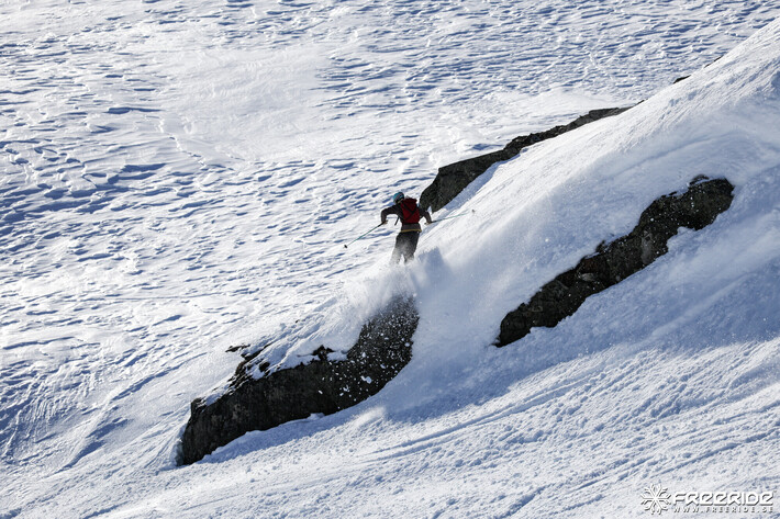 Bild från Ride the Cow 2026