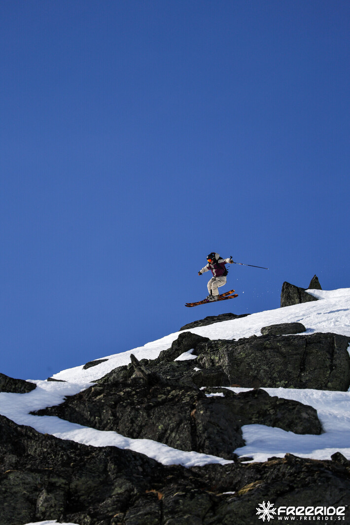 Bild från Ride the Cow 2026