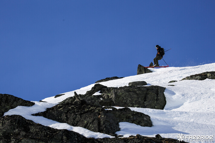 Bild från Ride the Cow 2026