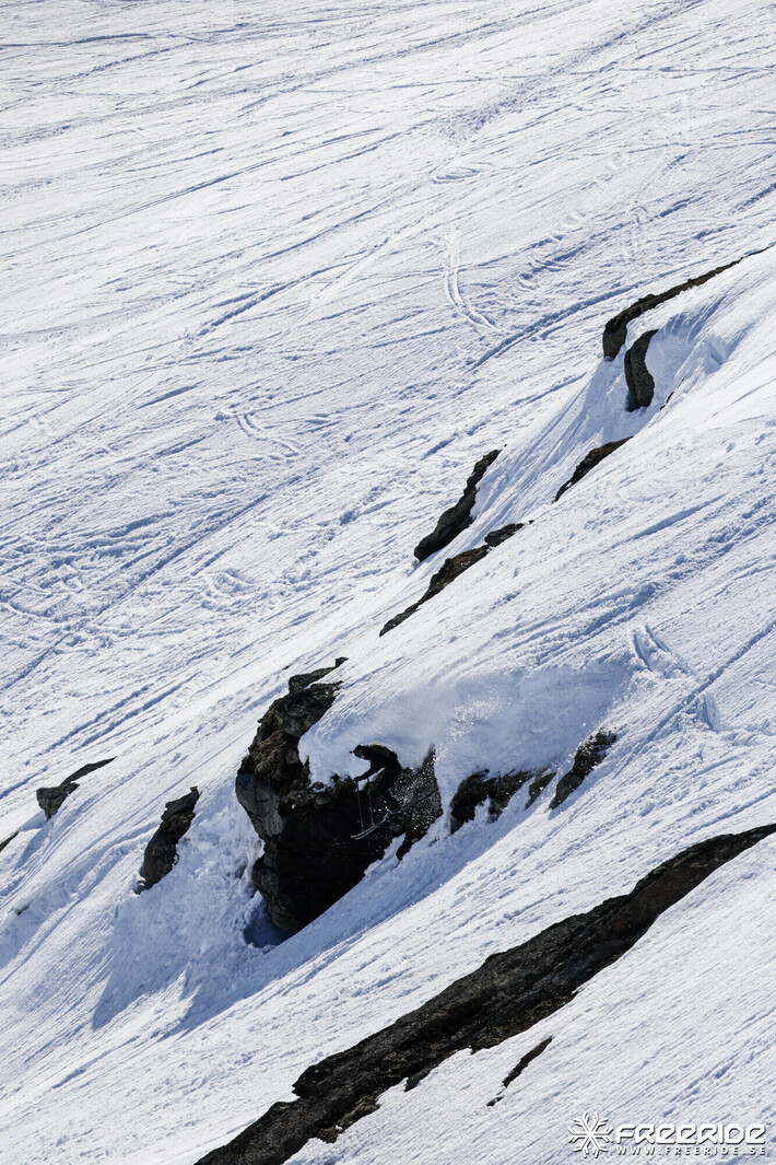 Bild från Ride the Cow 2026