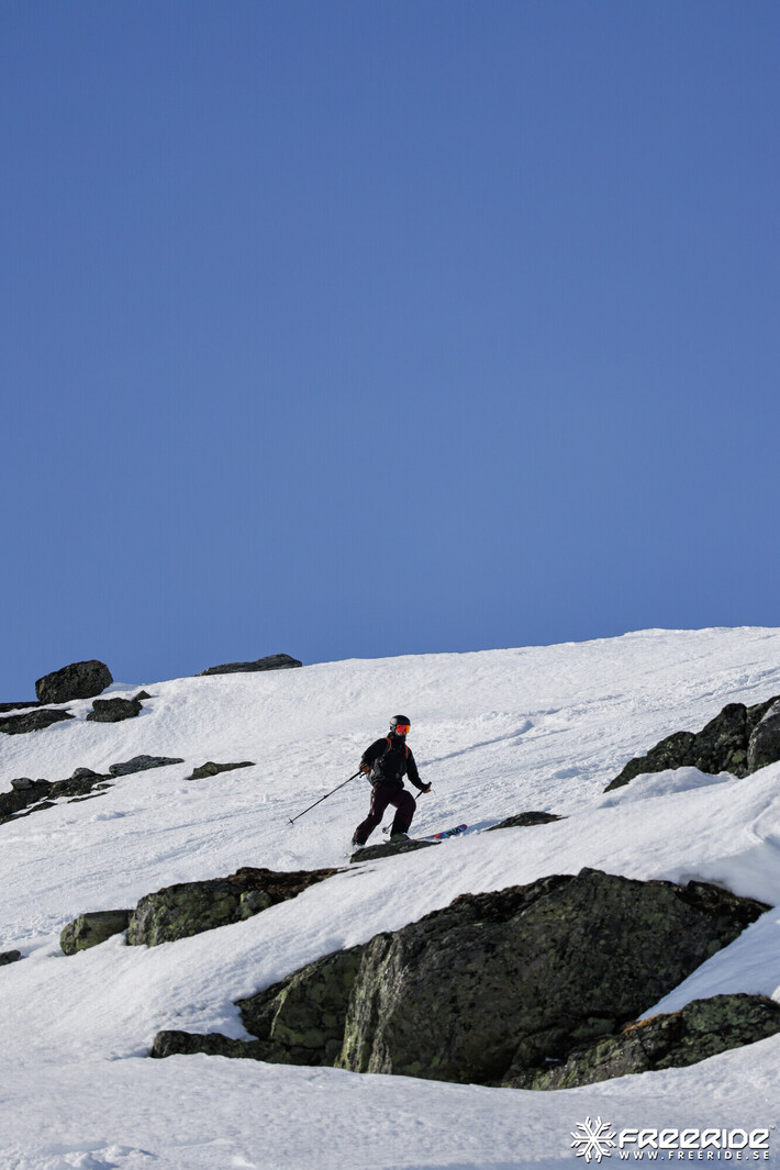 Bild från Ride the Cow 2026