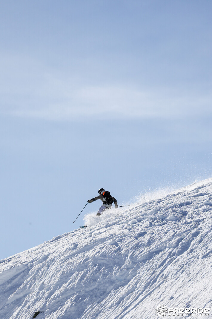 Bild från Ride the Cow 2026