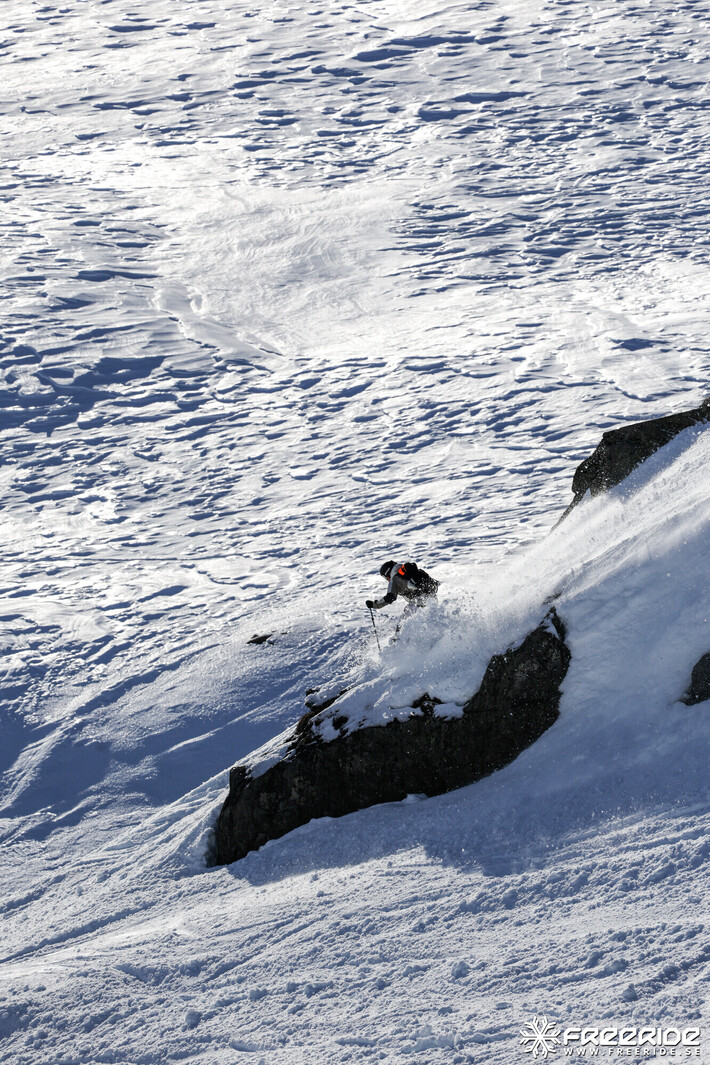 Bild från Ride the Cow 2026