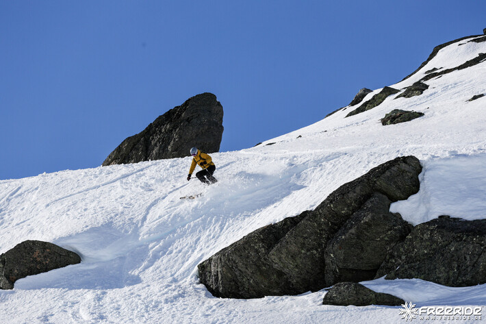 Bild från Ride the Cow 2026