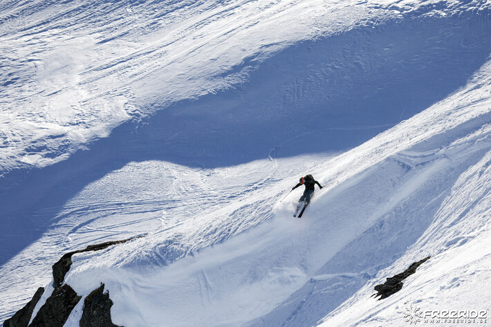 Bild från Ride the Cow 2026