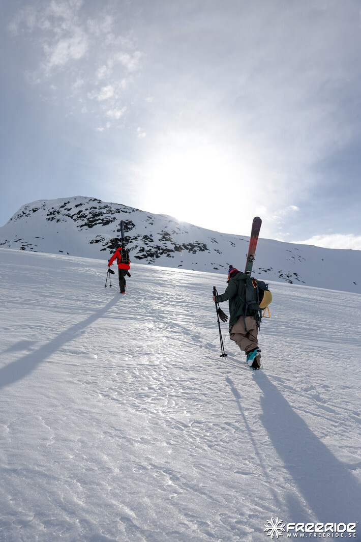 Bild från Ride the Cow 2026