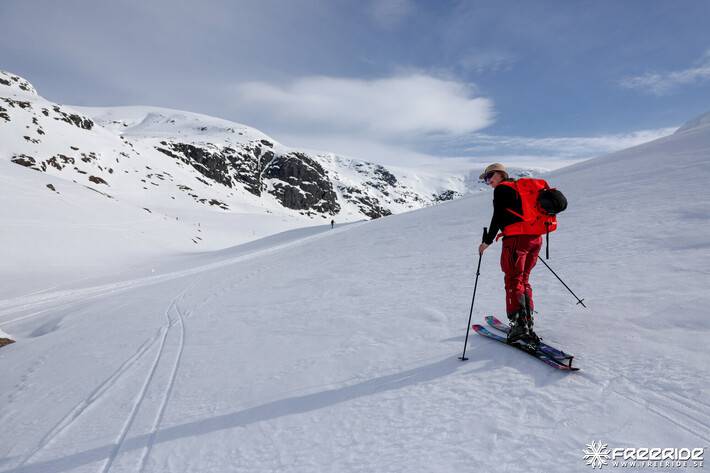 Bild från Ride the Cow 2026