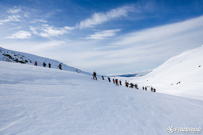 Bild från Ride the Cow 2026