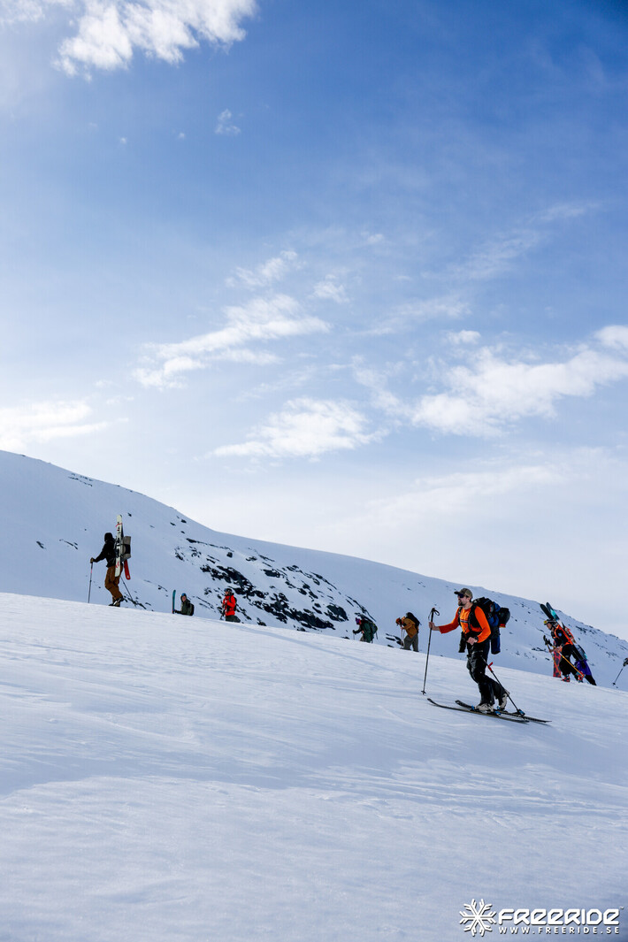 Bild från Ride the Cow 2026