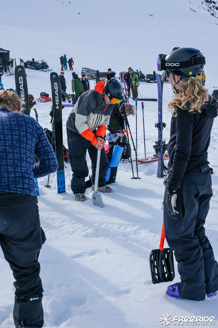 Bild från Ride the Cow 2026