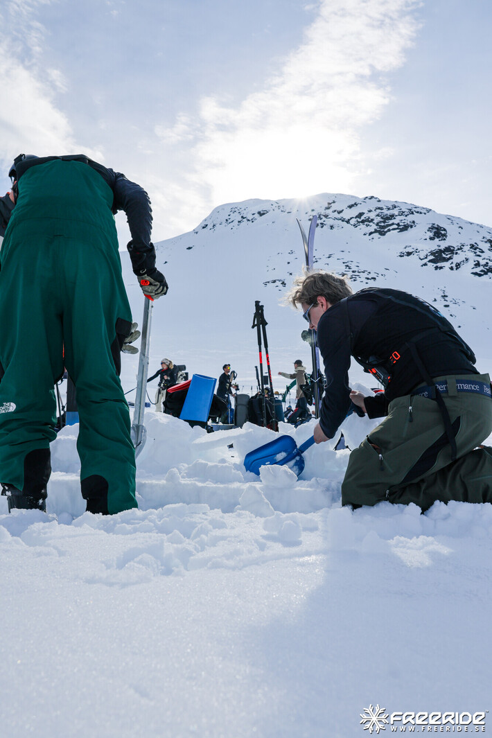 Bild från Ride the Cow 2026