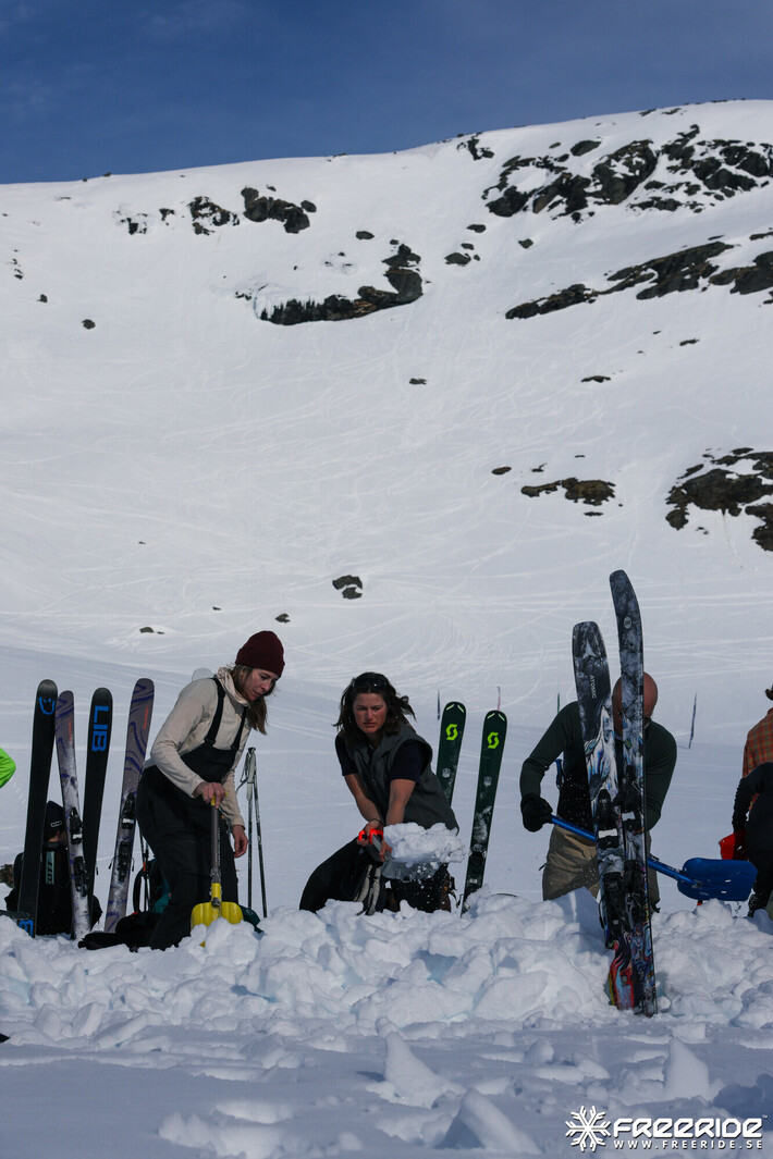 Bild från Ride the Cow 2026