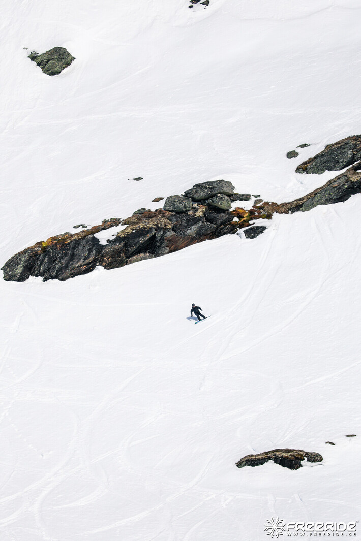 Bild från Ride the Cow 2026