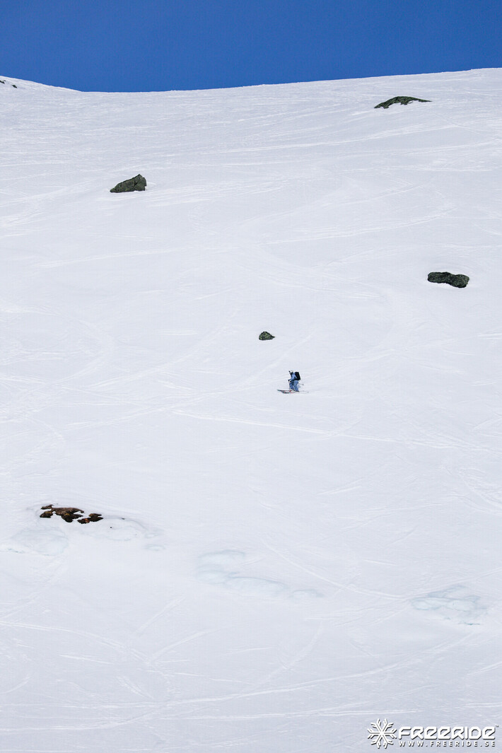 Bild från Ride the Cow 2026