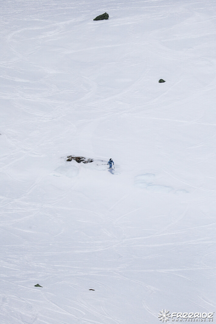 Bild från Ride the Cow 2026