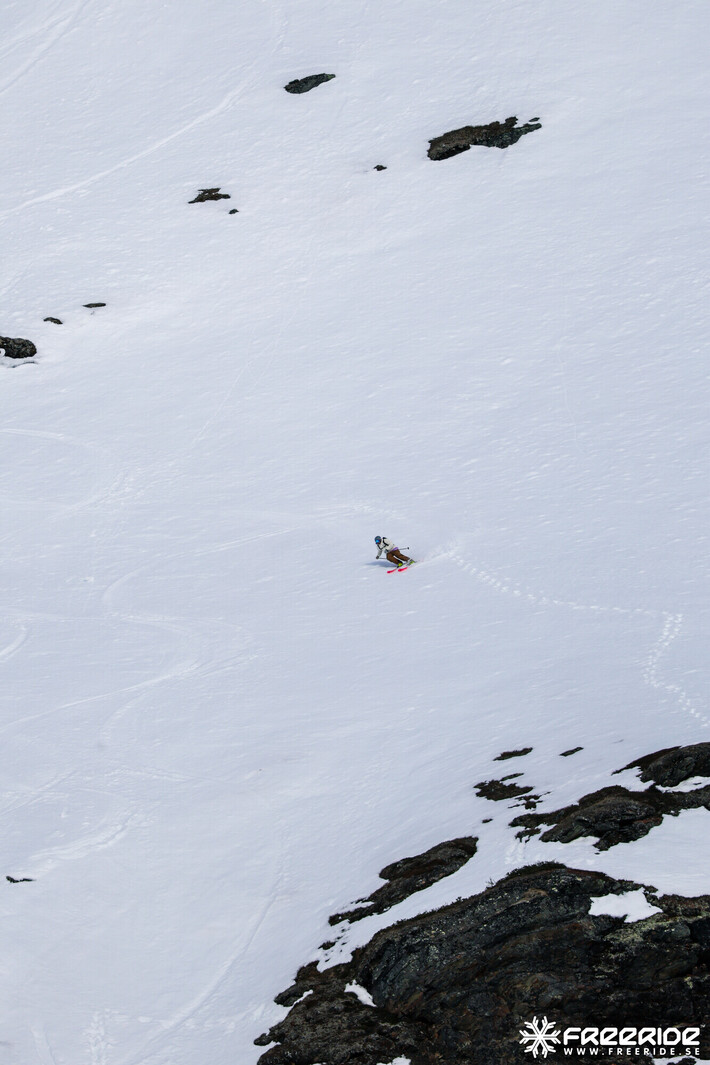 Bild från Ride the Cow 2026