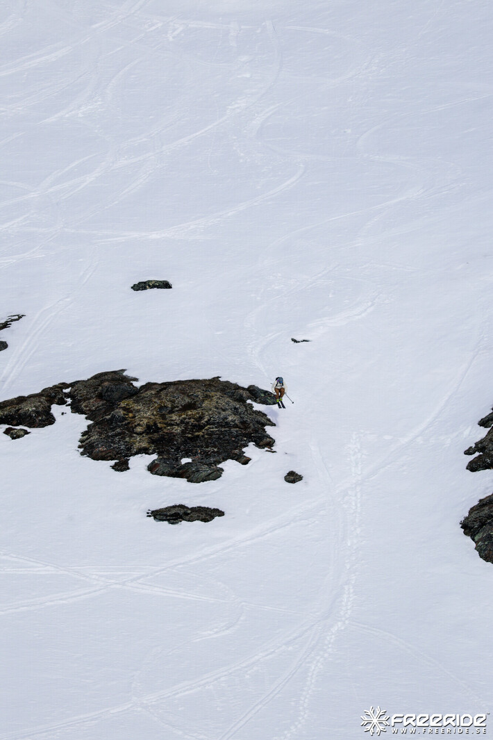 Bild från Ride the Cow 2026