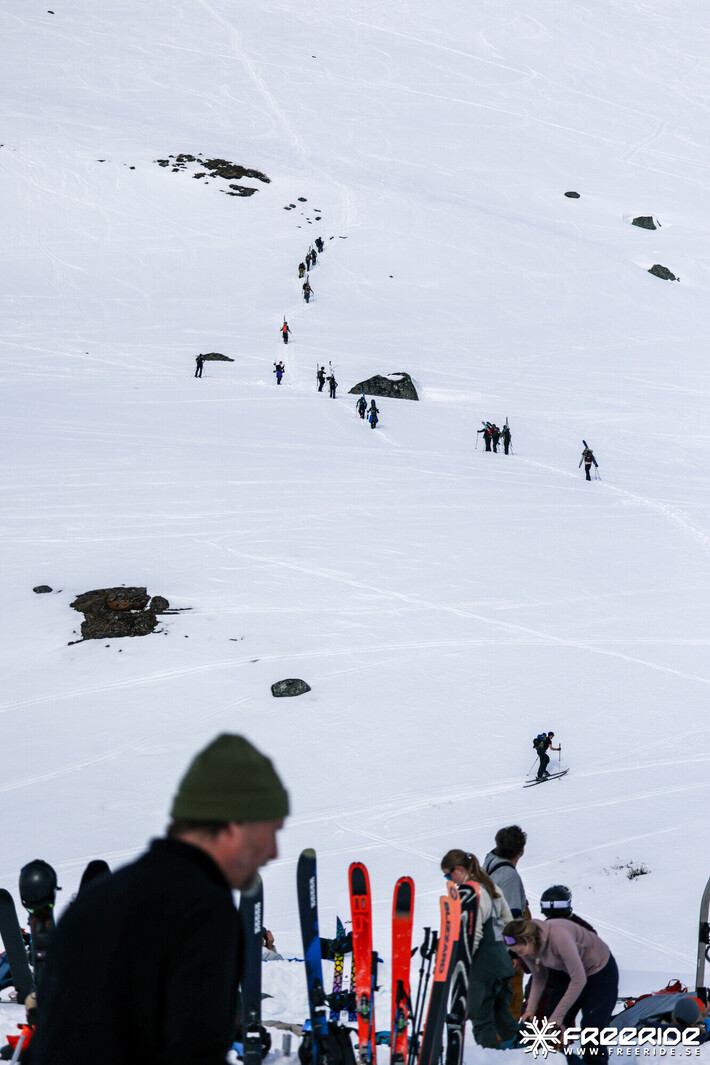 Bild från Ride the Cow 2026