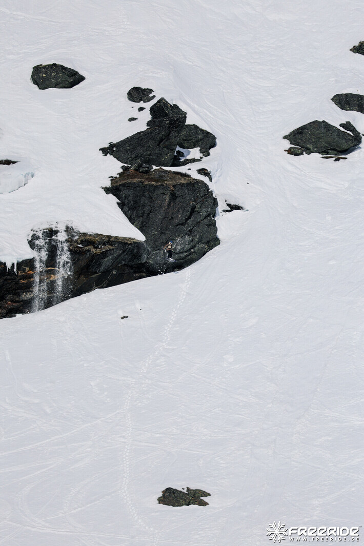 Bild från Ride the Cow 2026