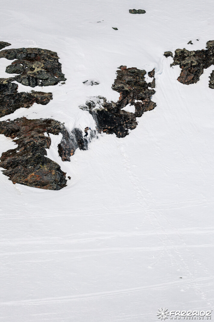 Bild från Ride the Cow 2026