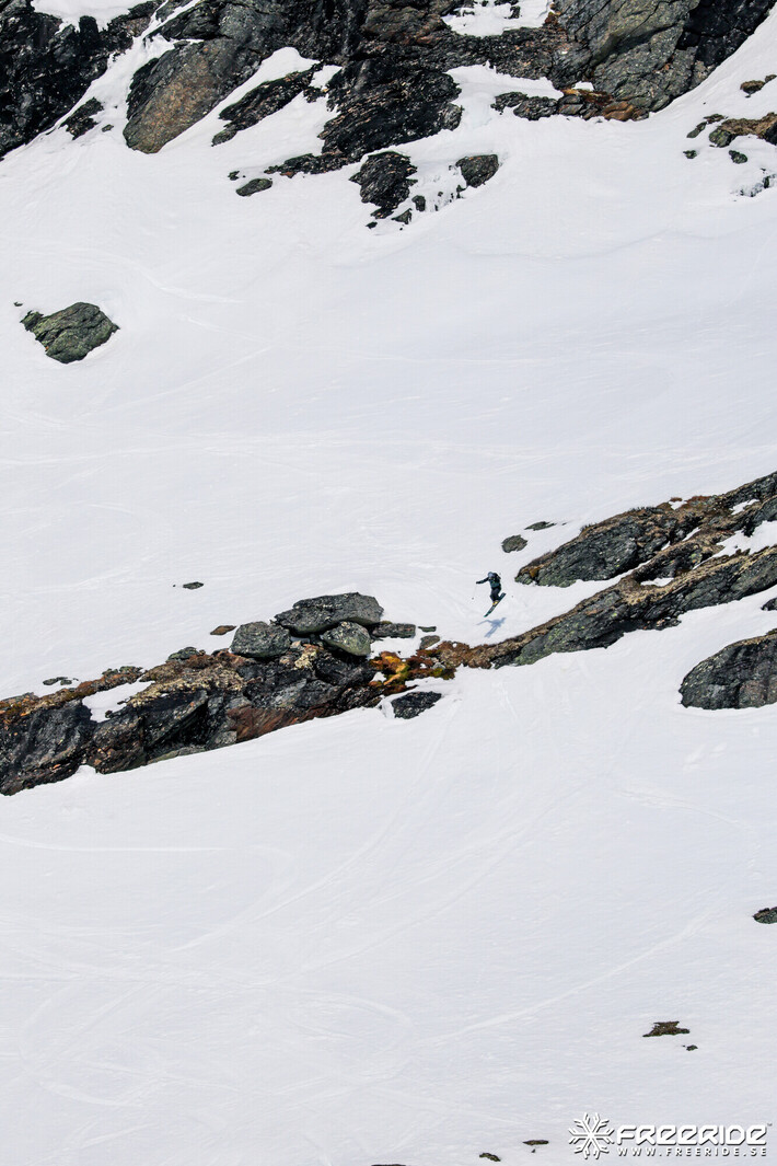 Bild från Ride the Cow 2026