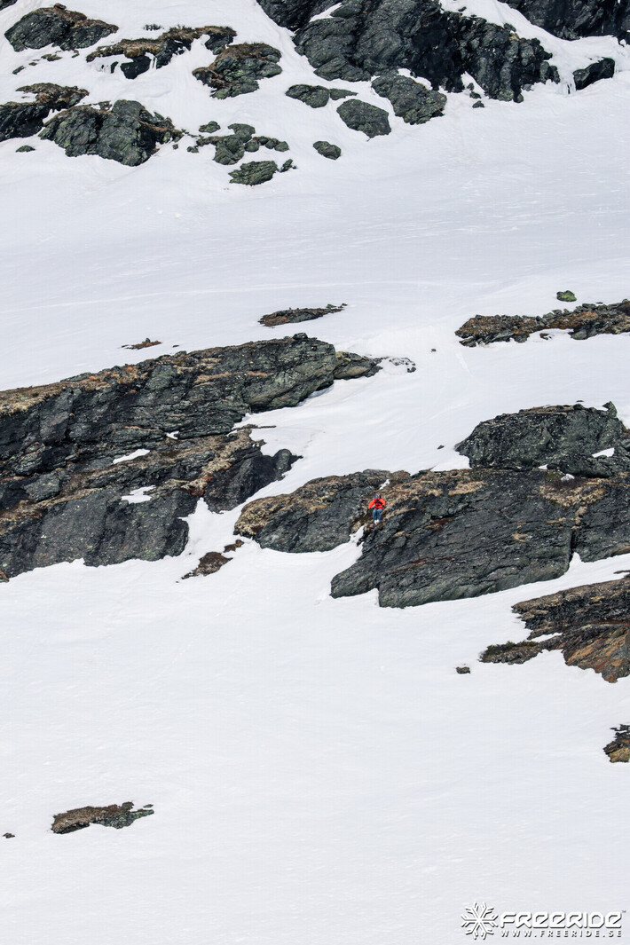 Bild från Ride the Cow 2026