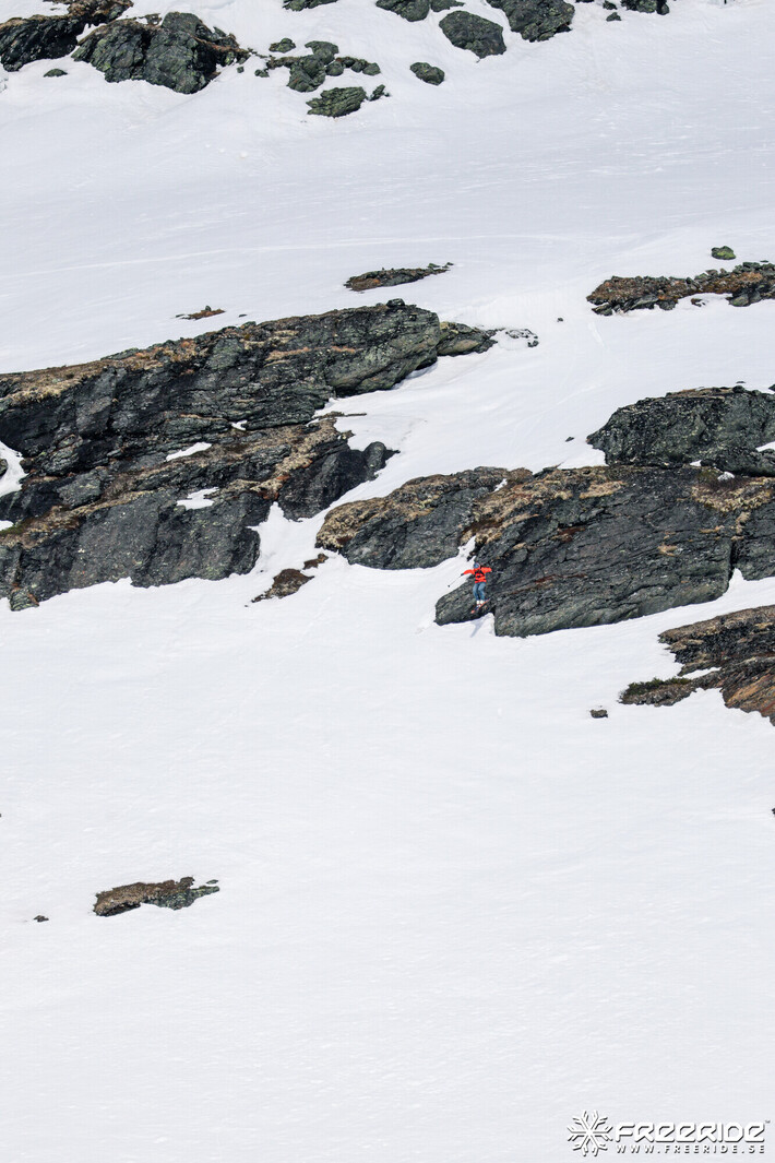 Bild från Ride the Cow 2026