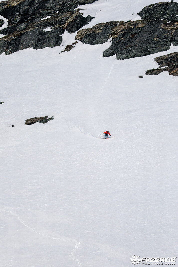 Bild från Ride the Cow 2026