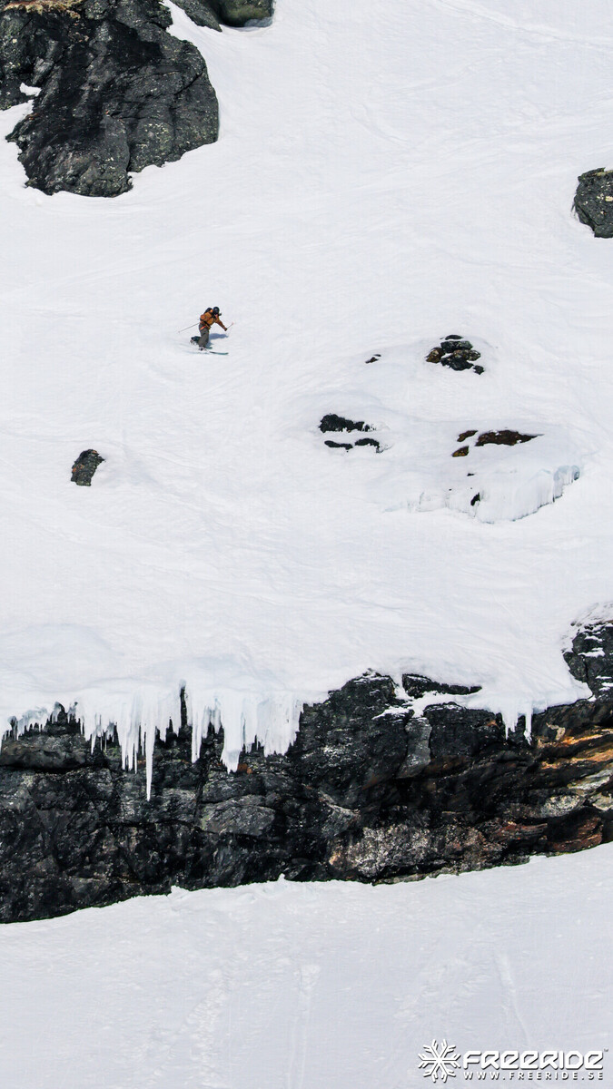 Bild från Ride the Cow 2026