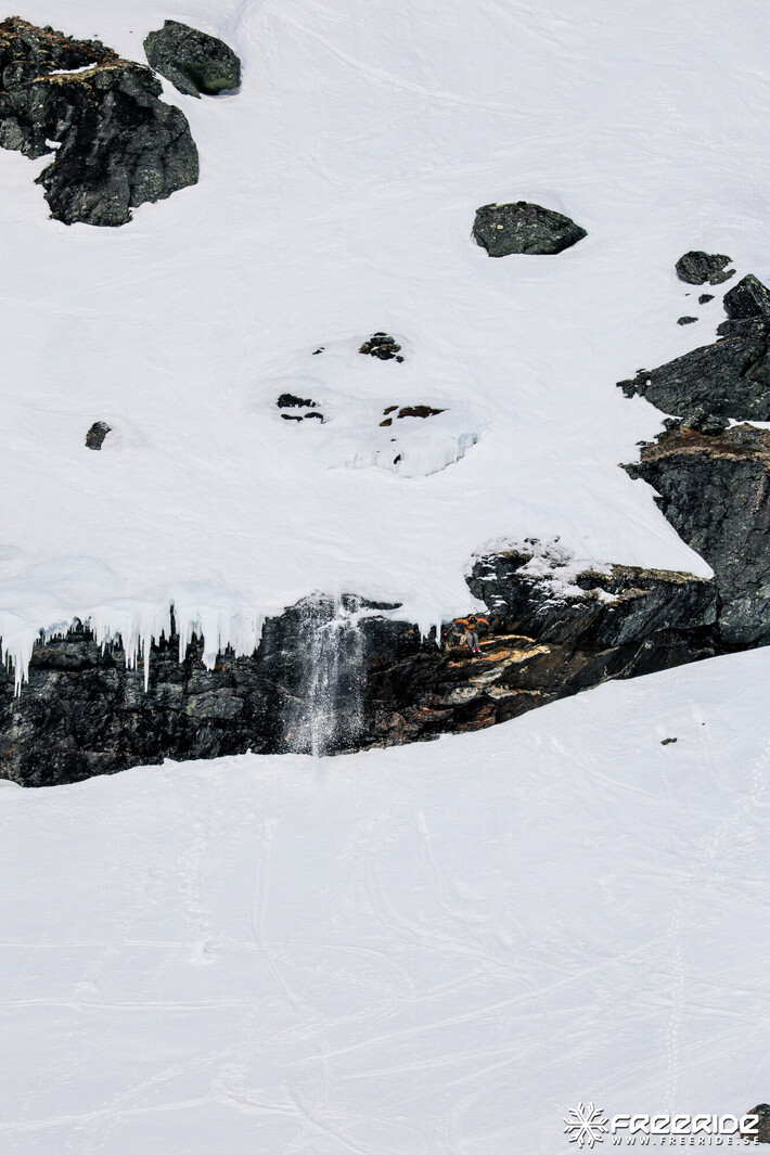 Bild från Ride the Cow 2026