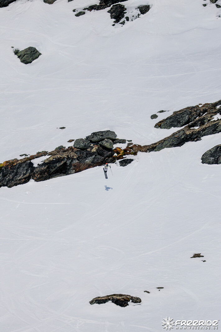 Bild från Ride the Cow 2026