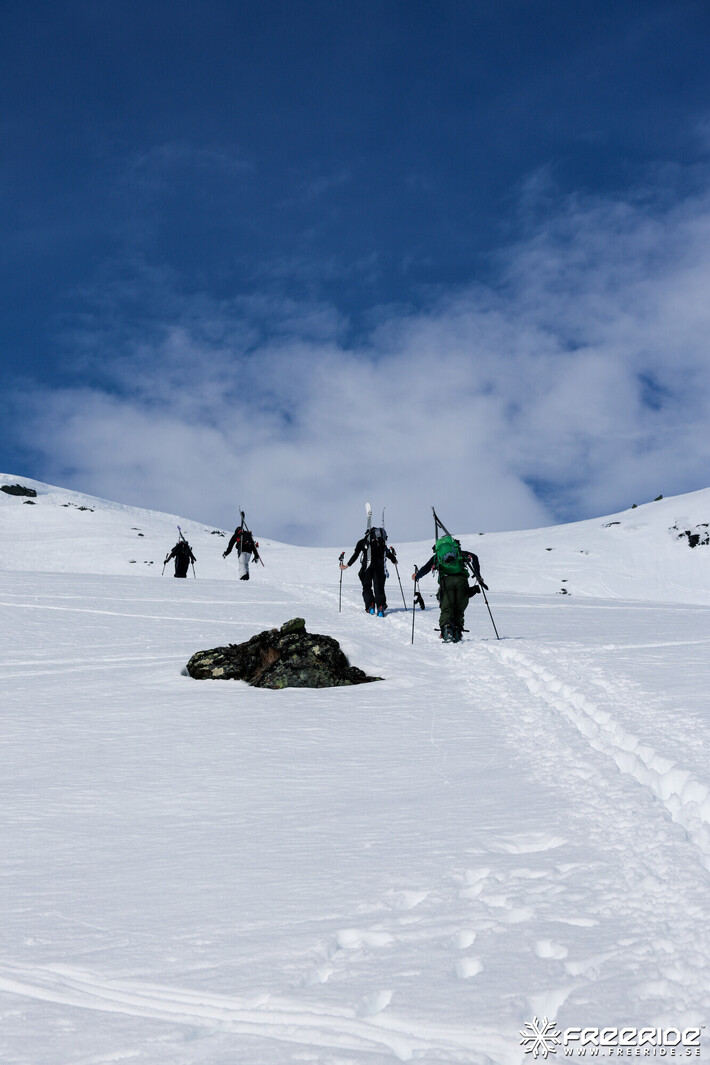 Bild från Ride the Cow 2026