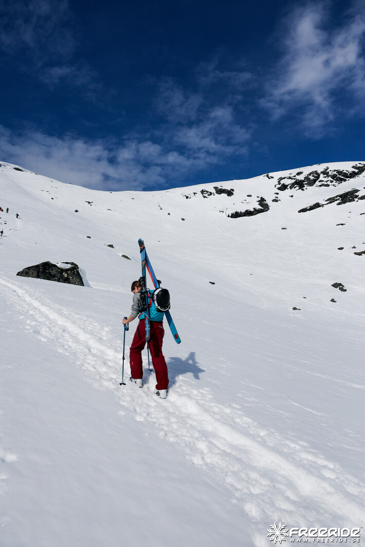 Bild från Ride the Cow 2026