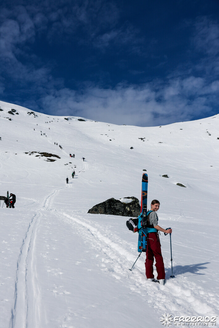 Bild från Ride the Cow 2026