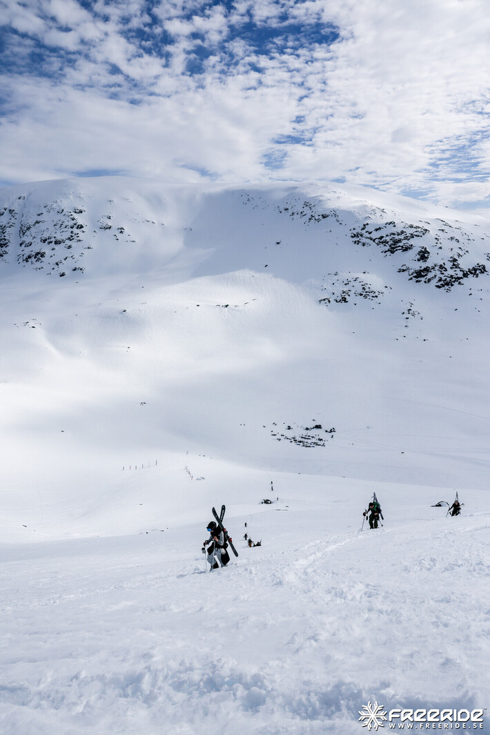 Bild från Ride the Cow 2026