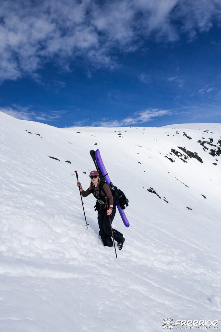 Bild från Ride the Cow 2026