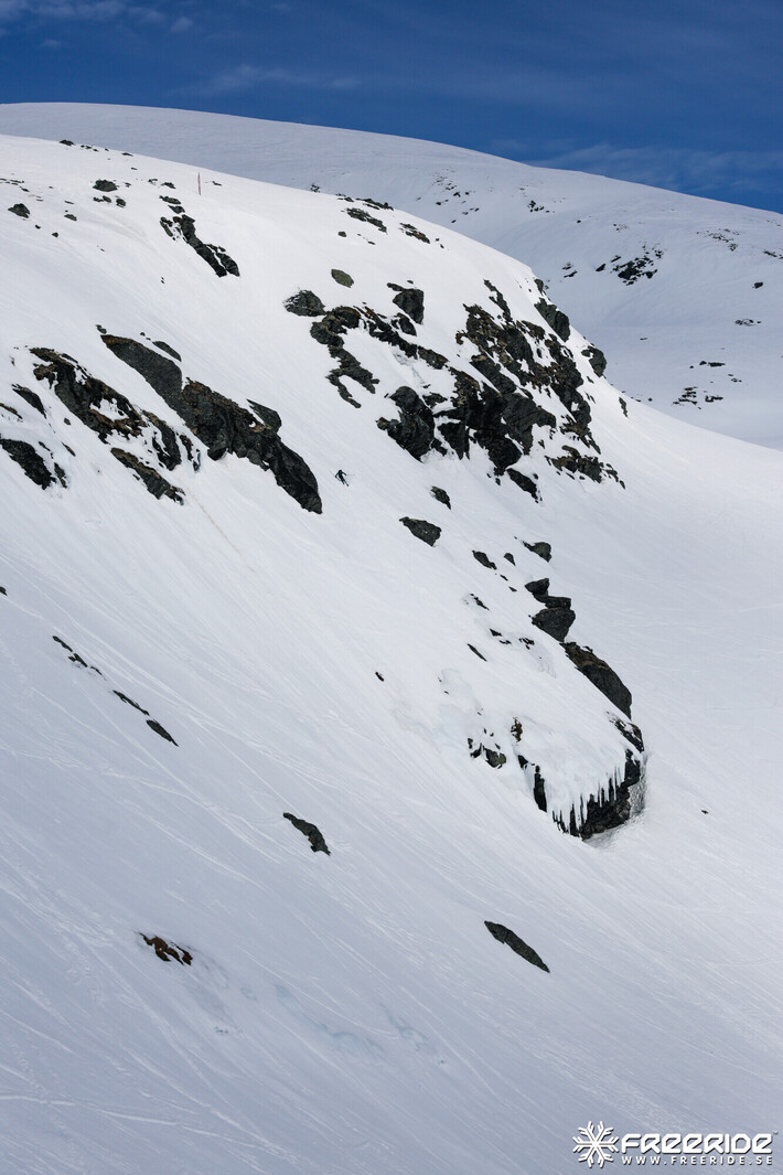 Bild från Ride the Cow 2026