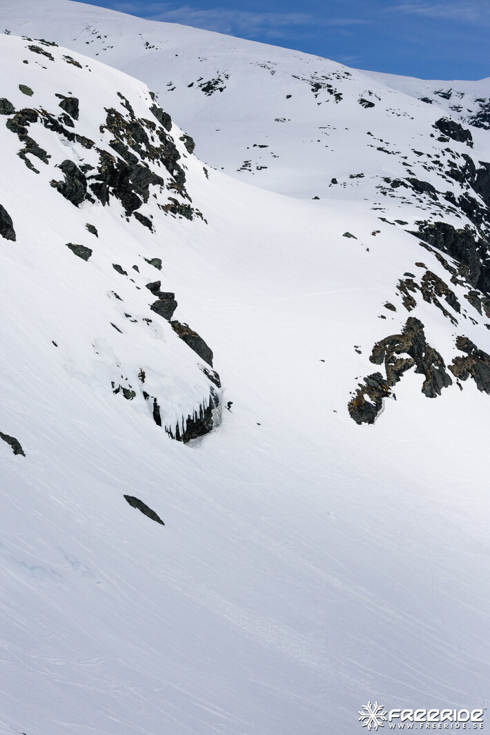 Bild från Ride the Cow 2026