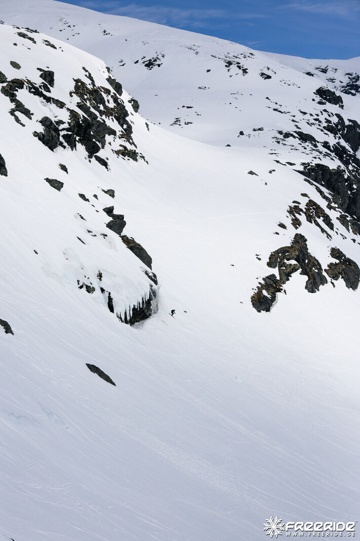 Bild från Ride the Cow 2026