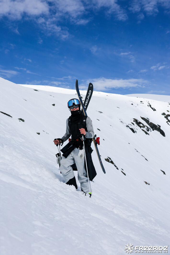 Bild från Ride the Cow 2026