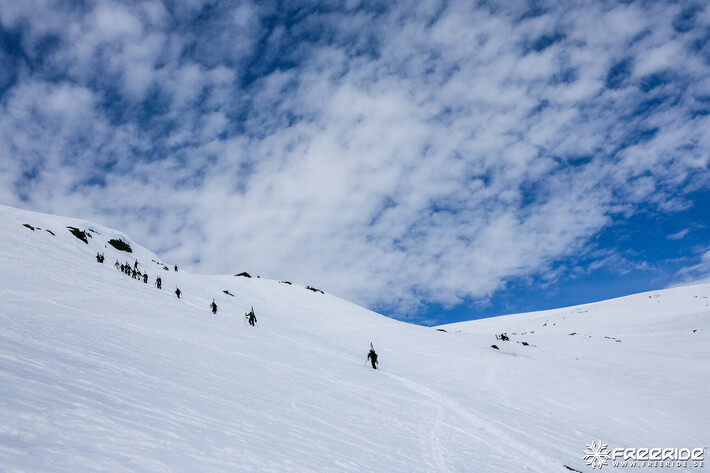 Bild från Ride the Cow 2026