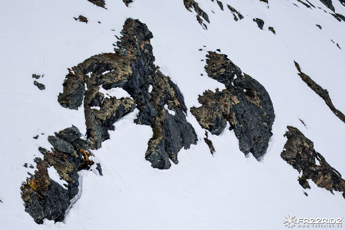 Bild från Ride the Cow 2026