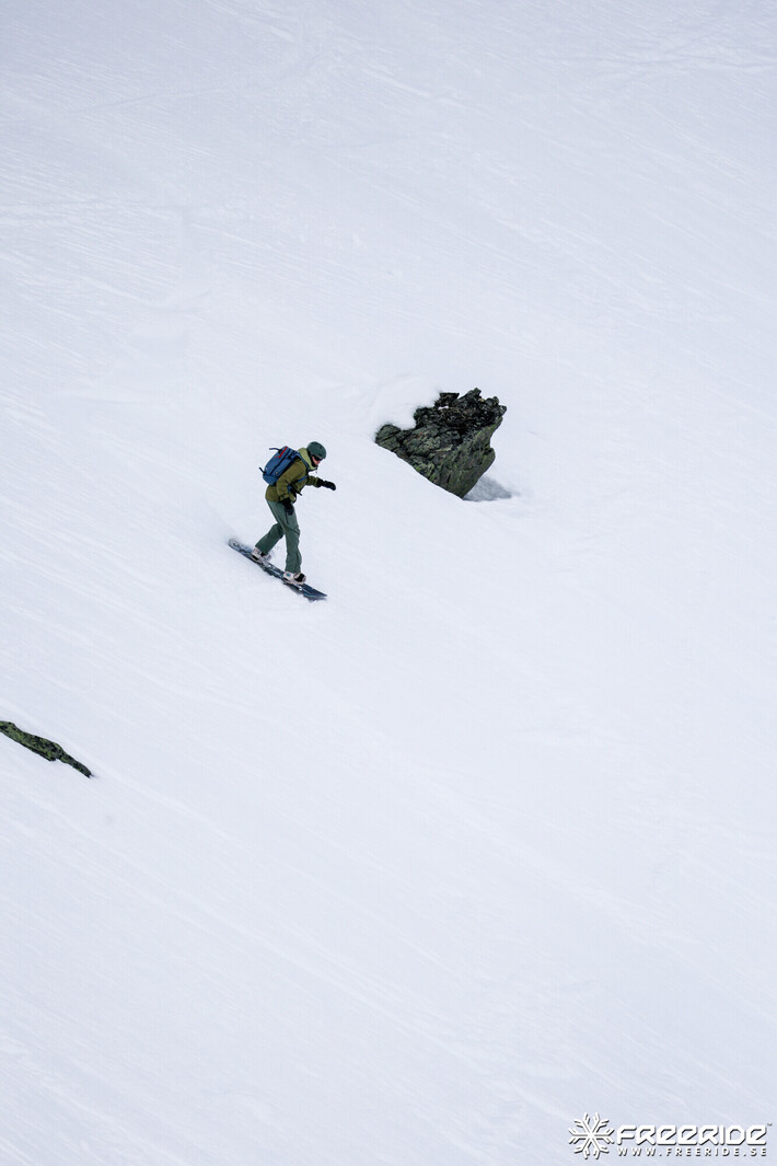 Bild från Ride the Cow 2026