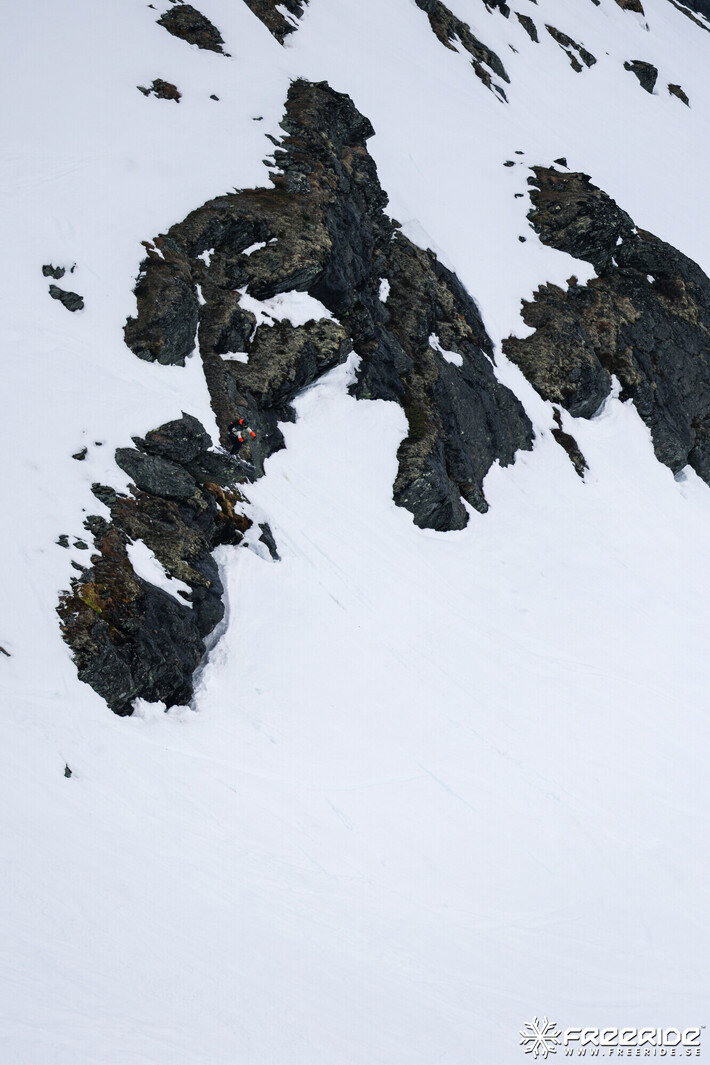 Bild från Ride the Cow 2026