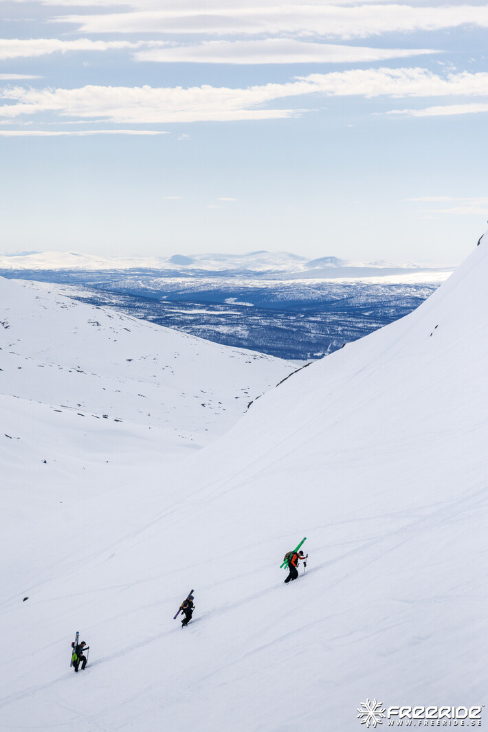 Bild från Ride the Cow 2026